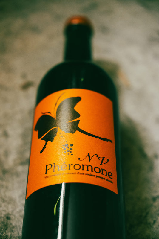 Osamu Uchida - Phéromone N.V. 2021 - 2022