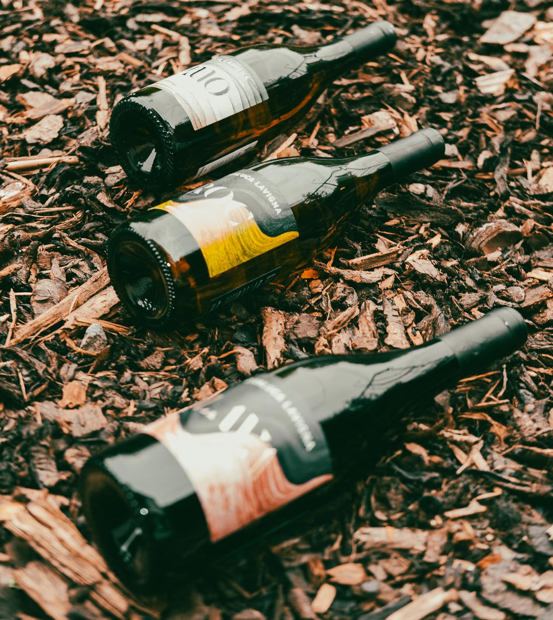 Quel vin choisir pour un barbecue ? Le guide simple