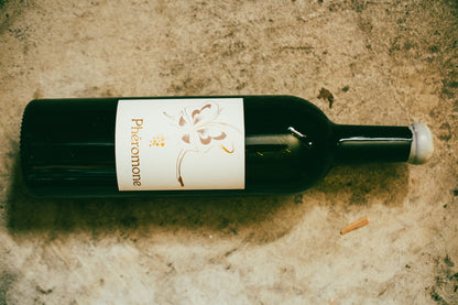 Osamu Uchida - Phéromone blanc