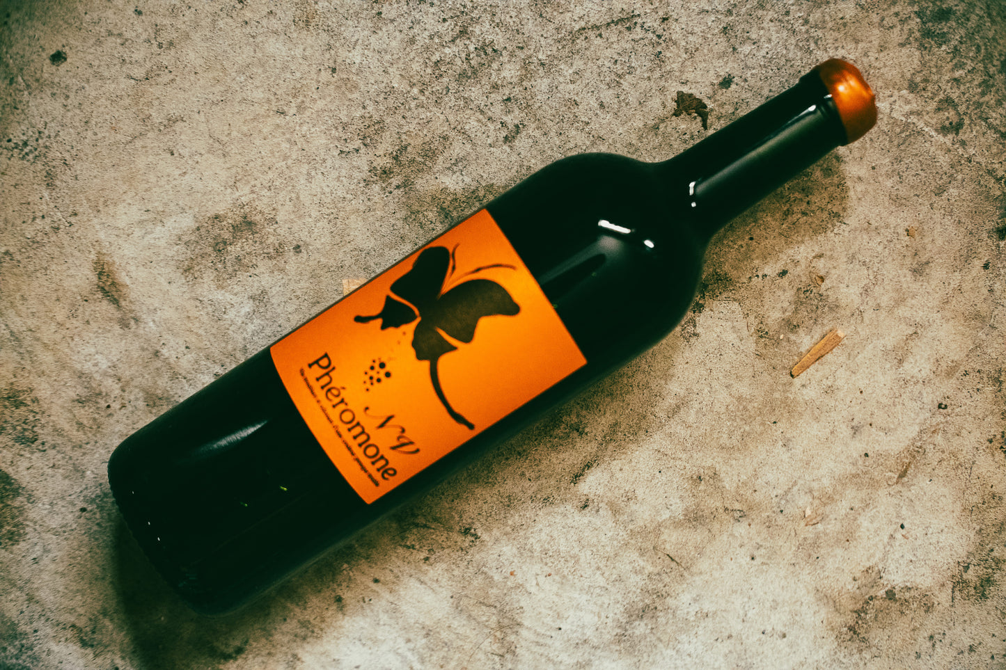 Osamu Uchida - Phéromone N.V. 2021 - 2022