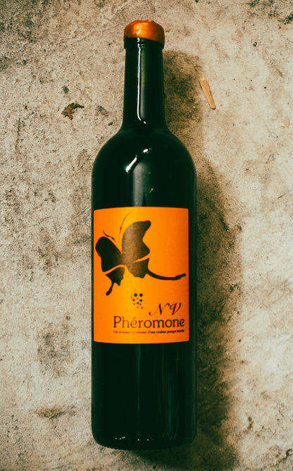 Osamu Uchida - Phéromone N.V. 2021 - 2022